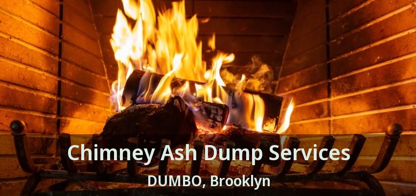 Chimney Ash Dump Services DUMBO, Brooklyn - NY