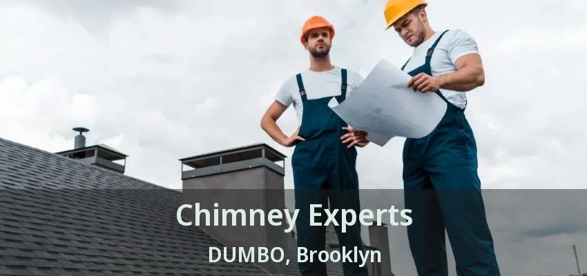 Chimney Experts DUMBO, Brooklyn - NY
