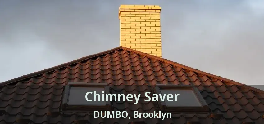 Chimney Saver DUMBO, Brooklyn - NY