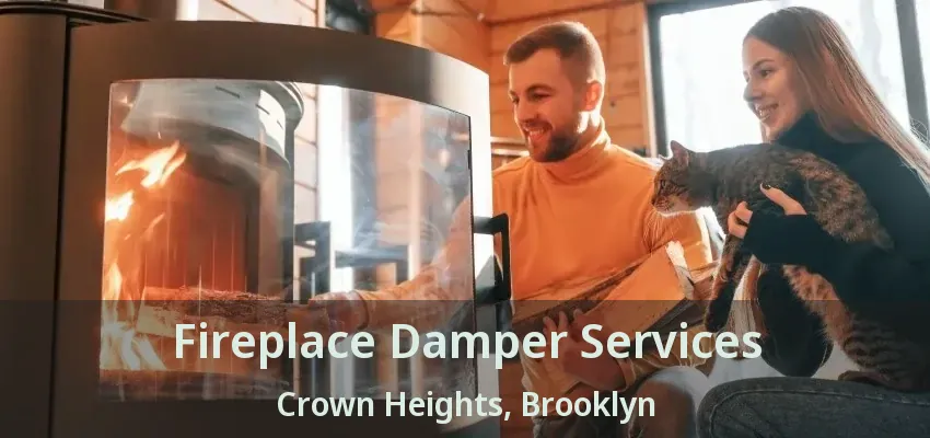 Fireplace Damper Services Crown Heights, Brooklyn - NY