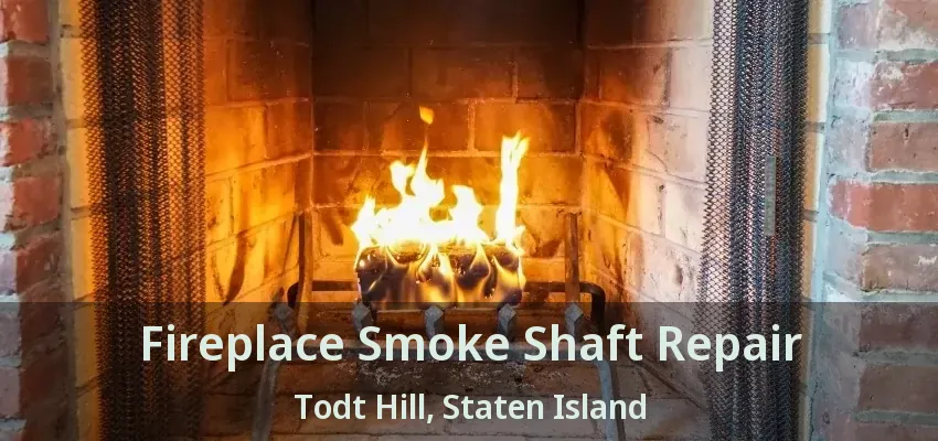 Fireplace Smoke Shaft Repair Todt Hill, Staten Island - NY